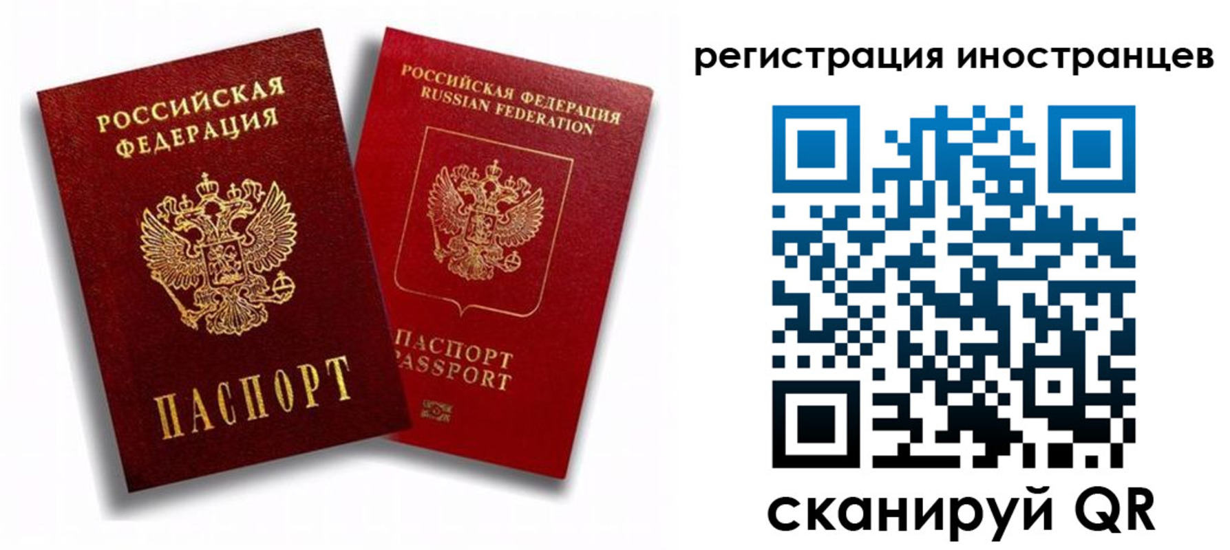 регистрация для школы в Елизово