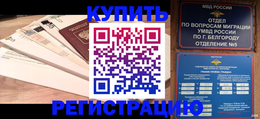 временная регистрация в Елизово